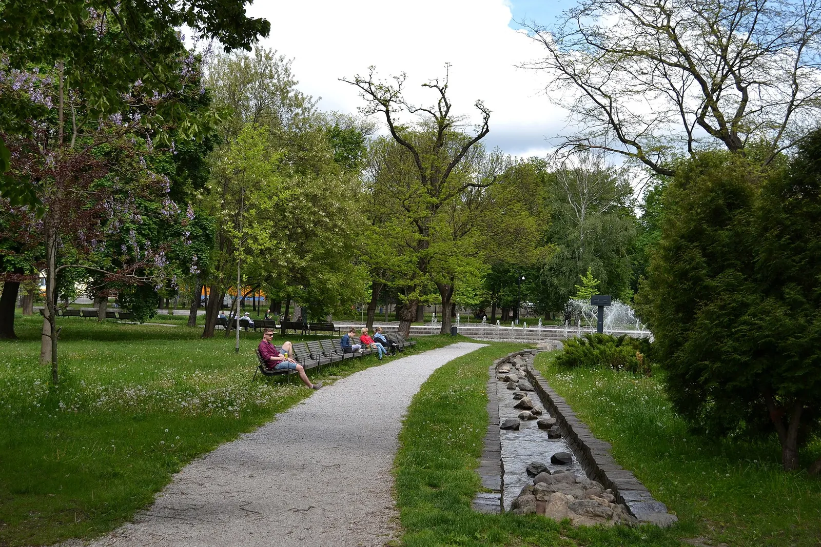 Paths and trees in Košice City Park (Mestský park)